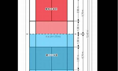 男子 羽毛球 单打_男子羽毛球单打界限是什么