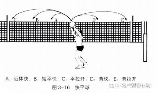 世界排球规则_世界排球进攻打法发展趋势